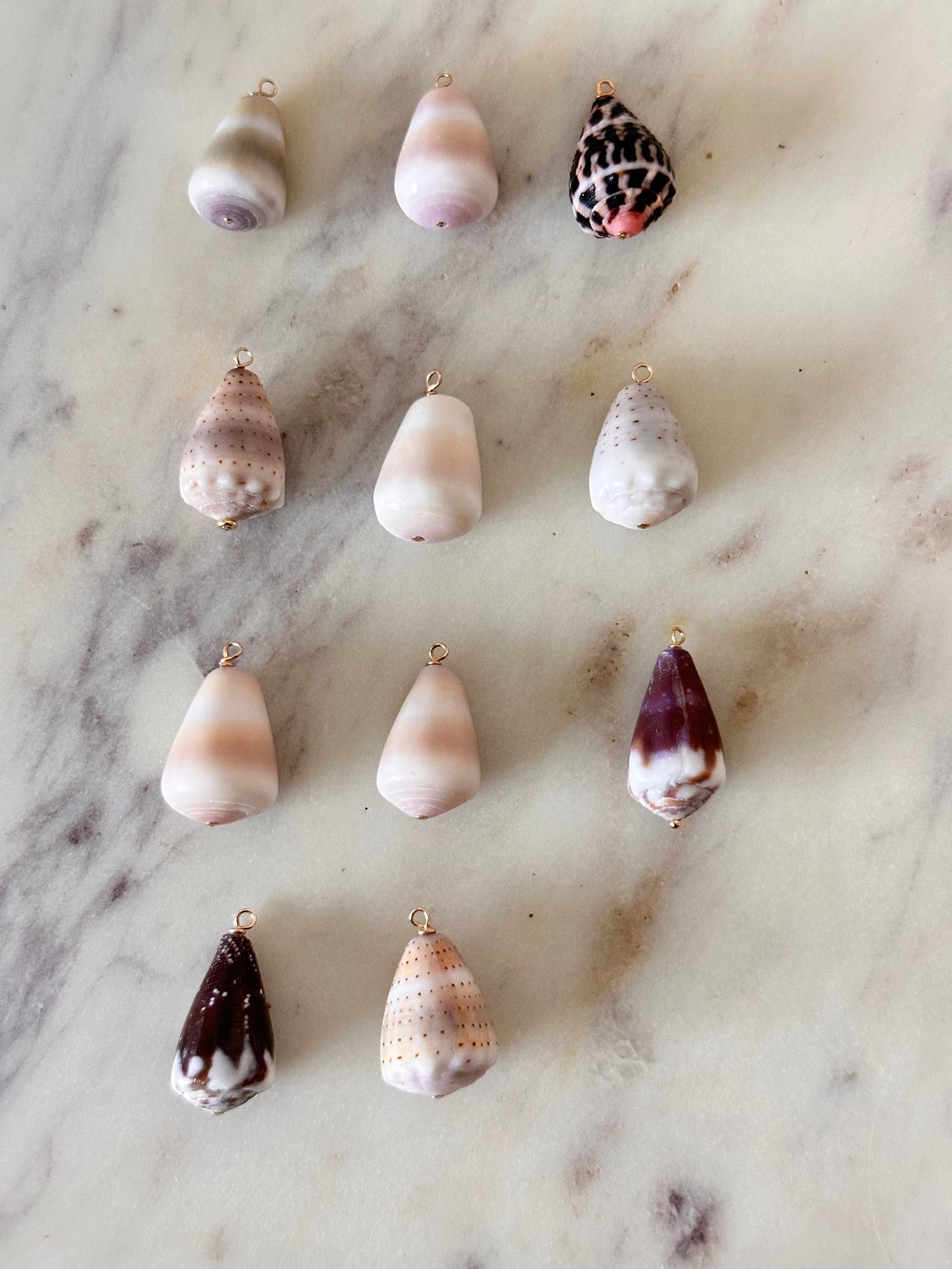 Charm Bar Shells