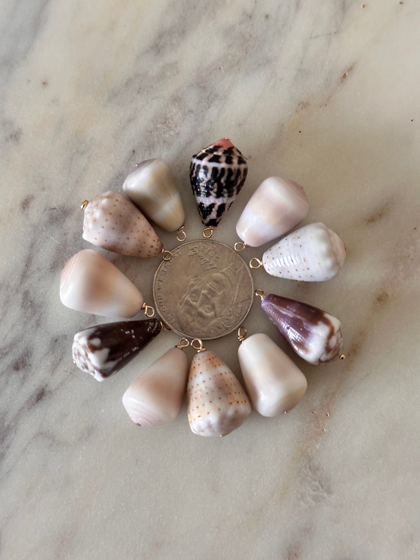 Charm Bar Shells