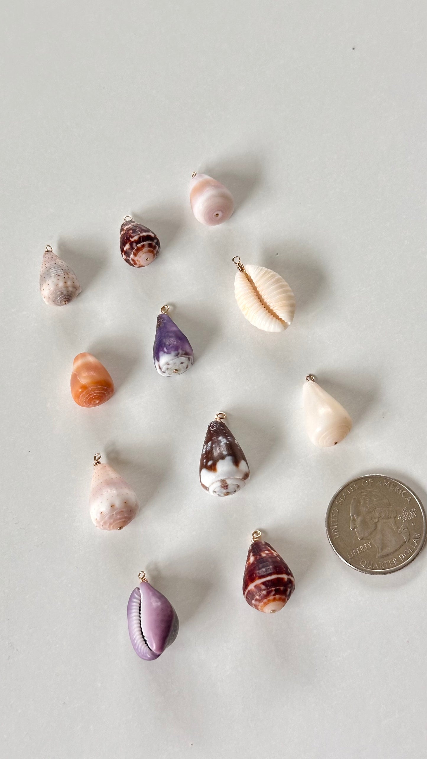 Charm Bar Shells