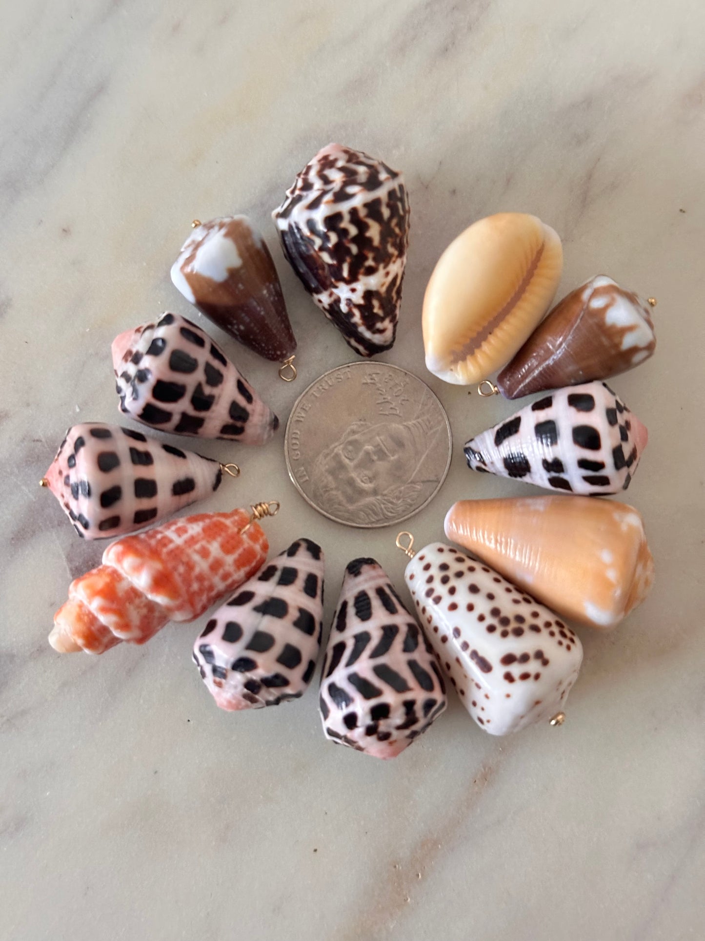Charm Bar LARGE Shells