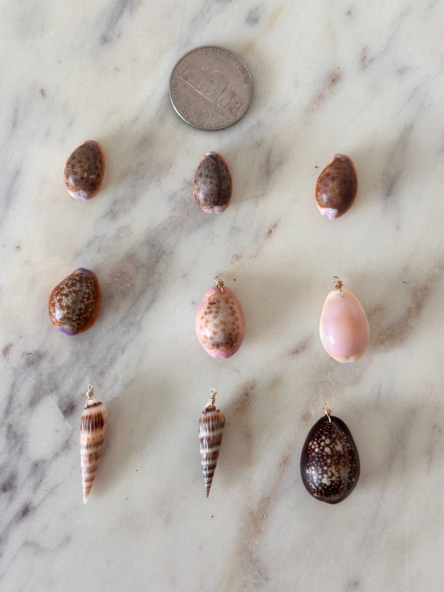 Charm Bar Cowrie Shells