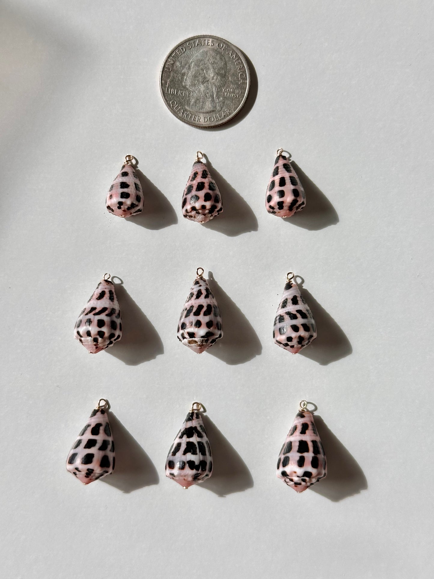 Charm Bar Hebrew Shells