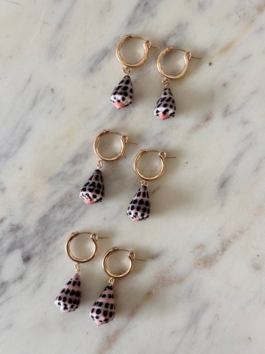 Hebrew Nani Hoops