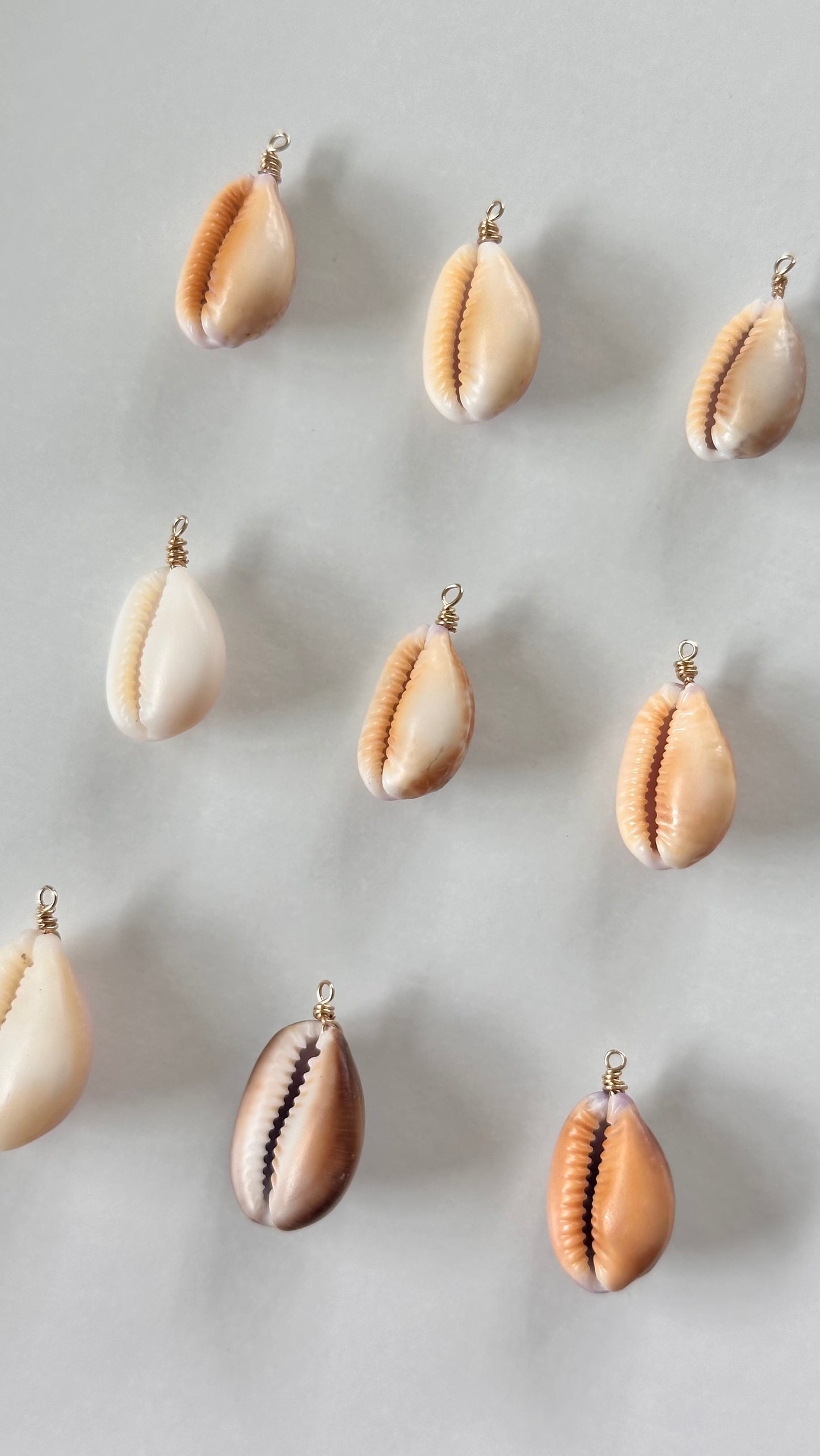 Charm Bar Cowrie Shells