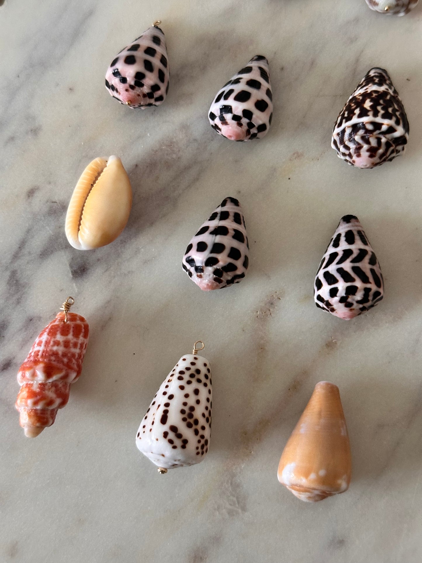 Charm Bar LARGE Shells