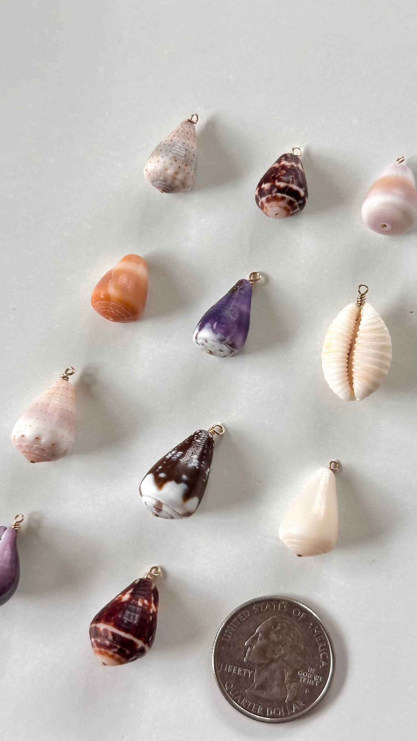 Charm Bar Shells