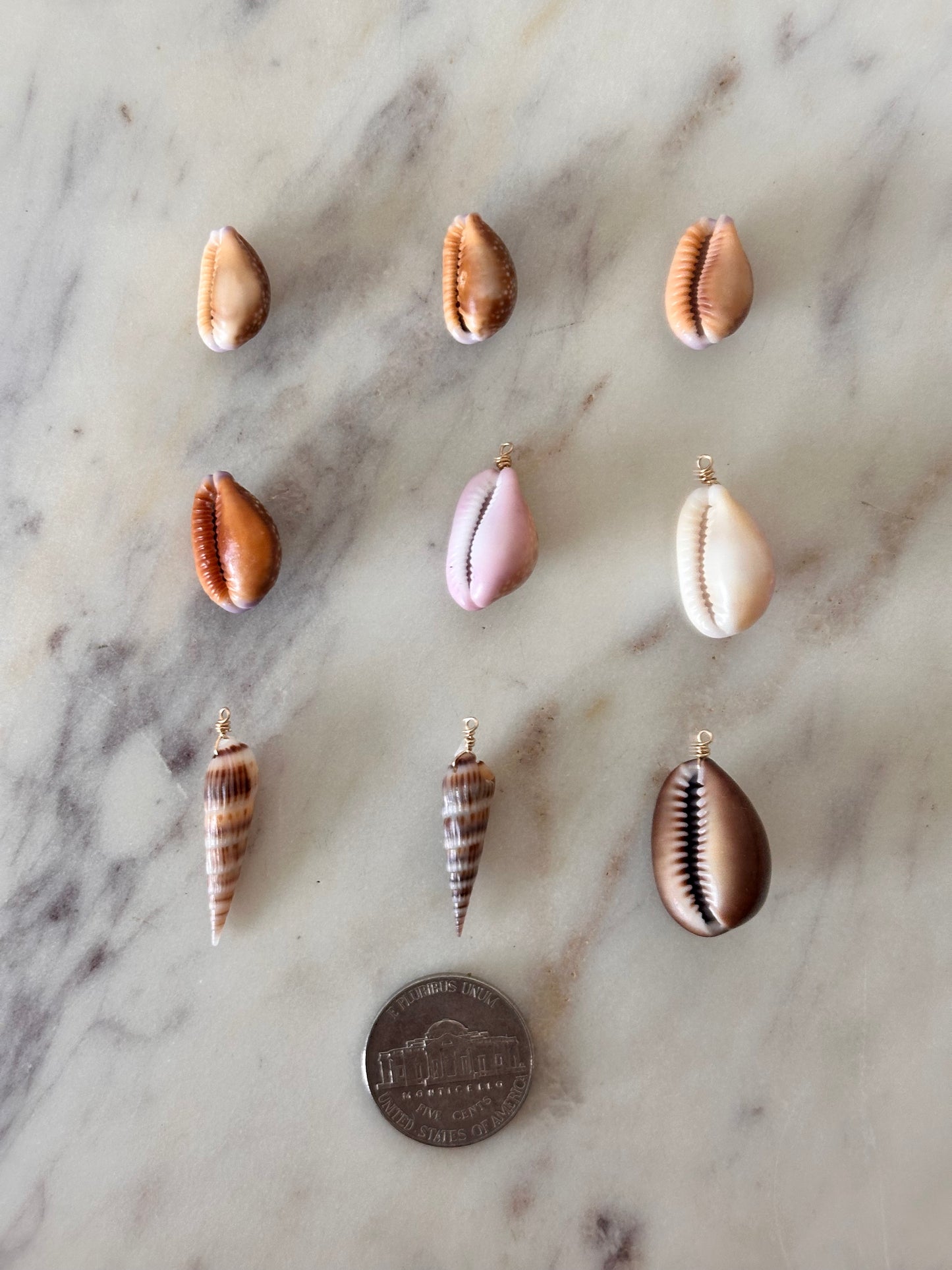 Charm Bar Cowrie Shells