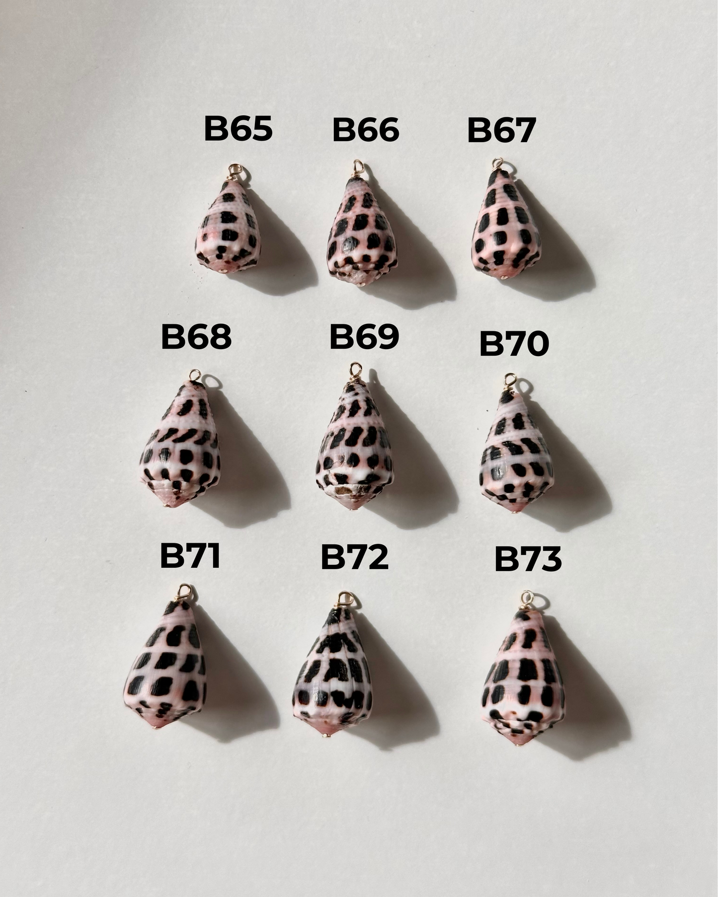 Charm Bar Hebrew Shells