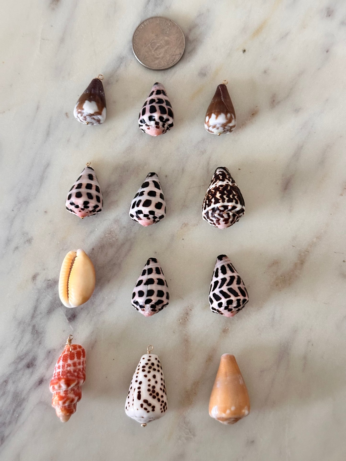 Charm Bar LARGE Shells