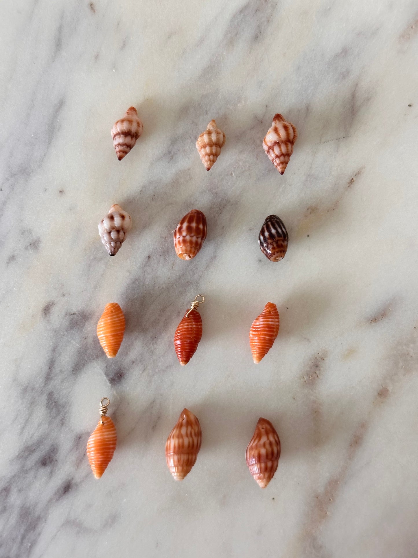Charm Bar Hawaiian Shells
