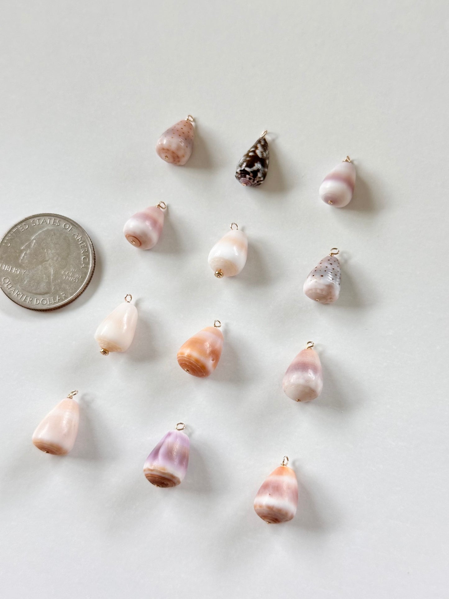 Charm Bar Mini Cone Shells