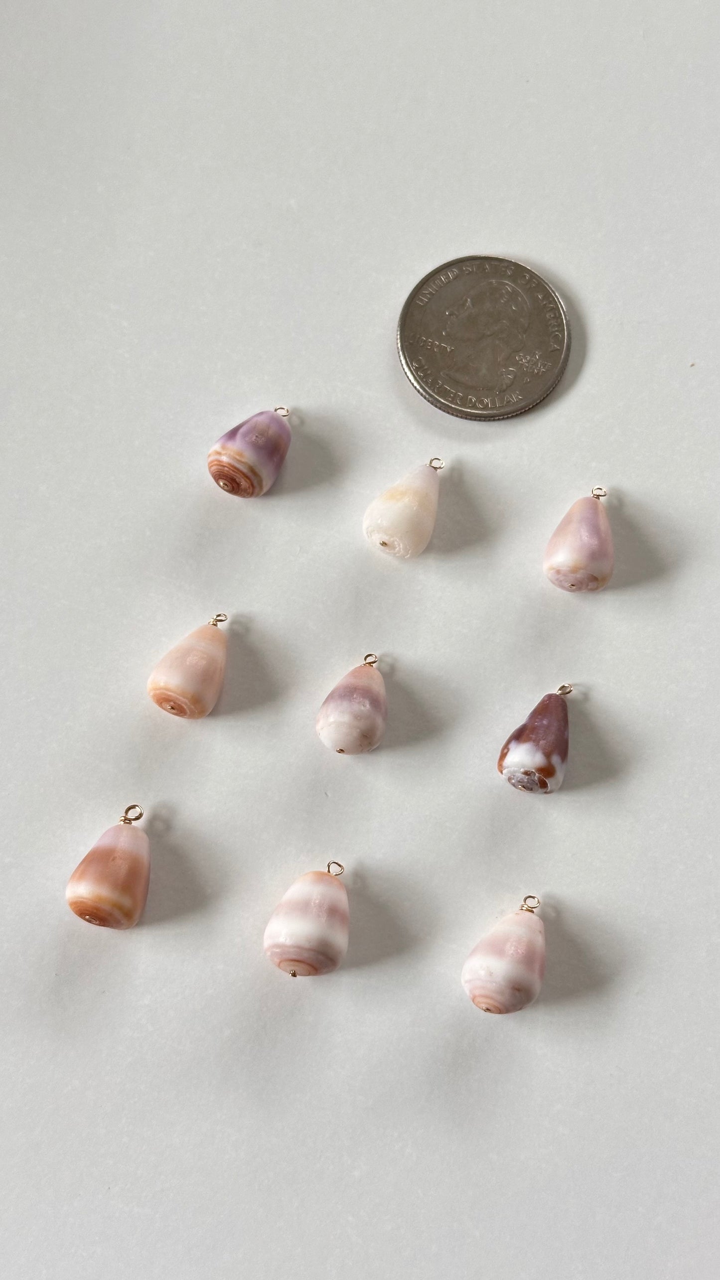 Charm Bar Mini Cone Shells