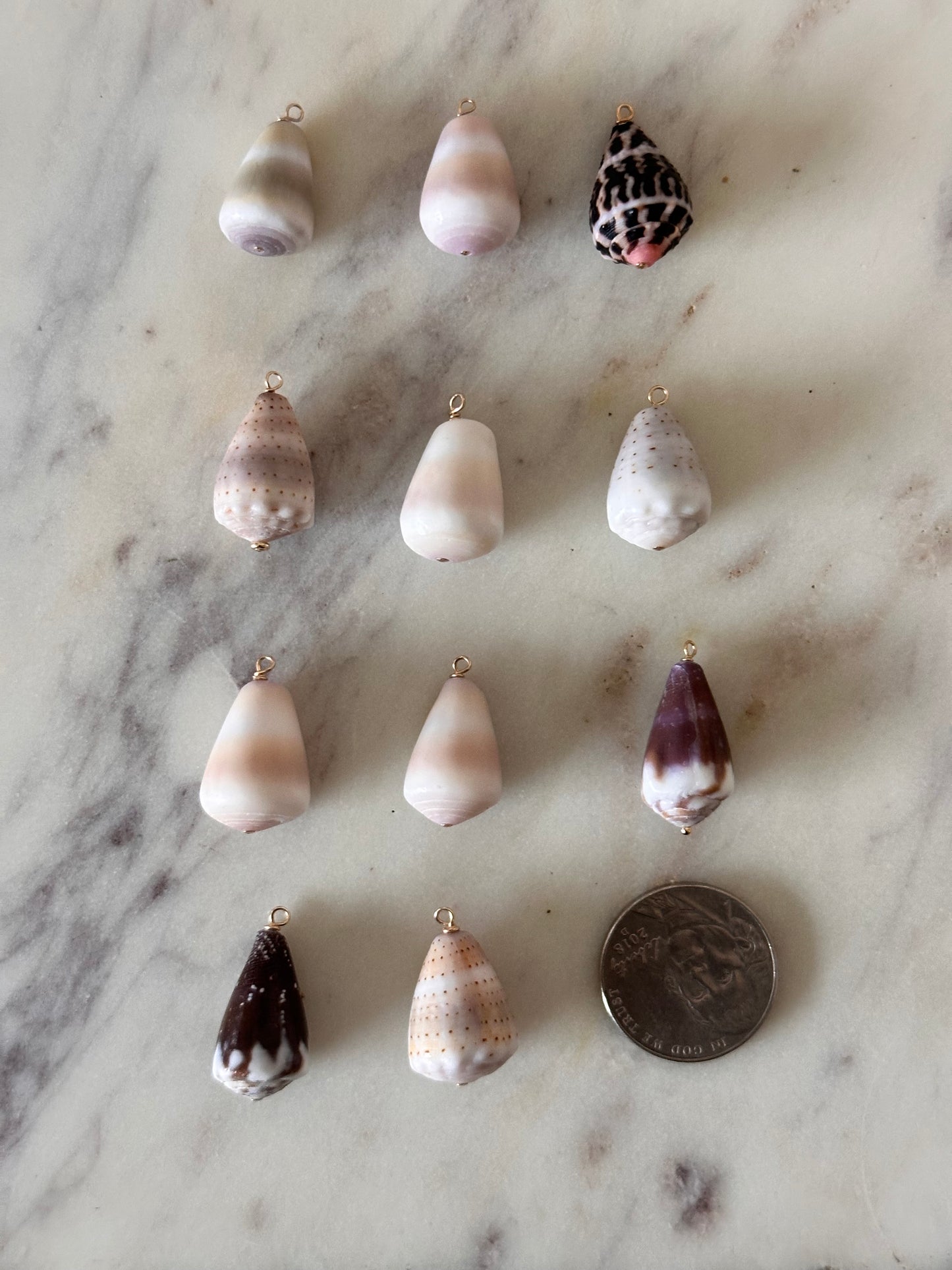 Charm Bar Shells