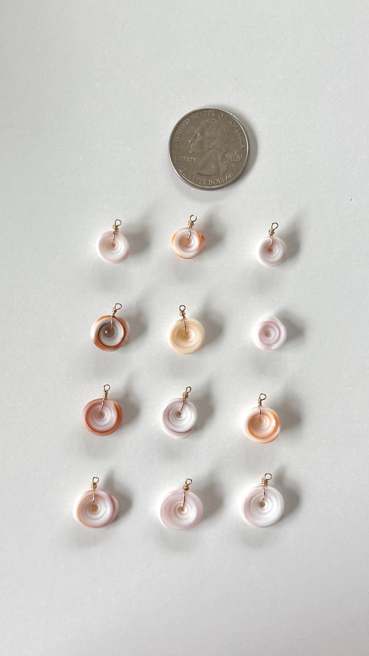 Charm Bar Puka Shells