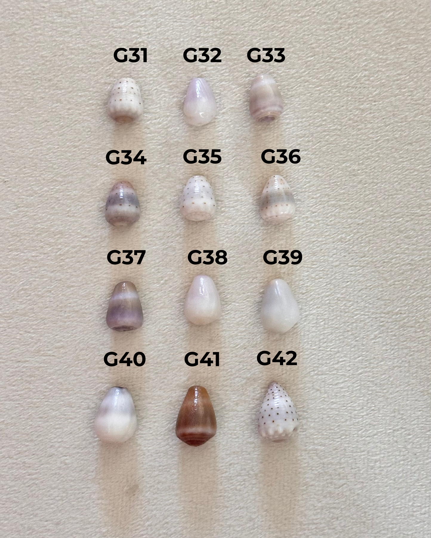 Charm Bar Shells