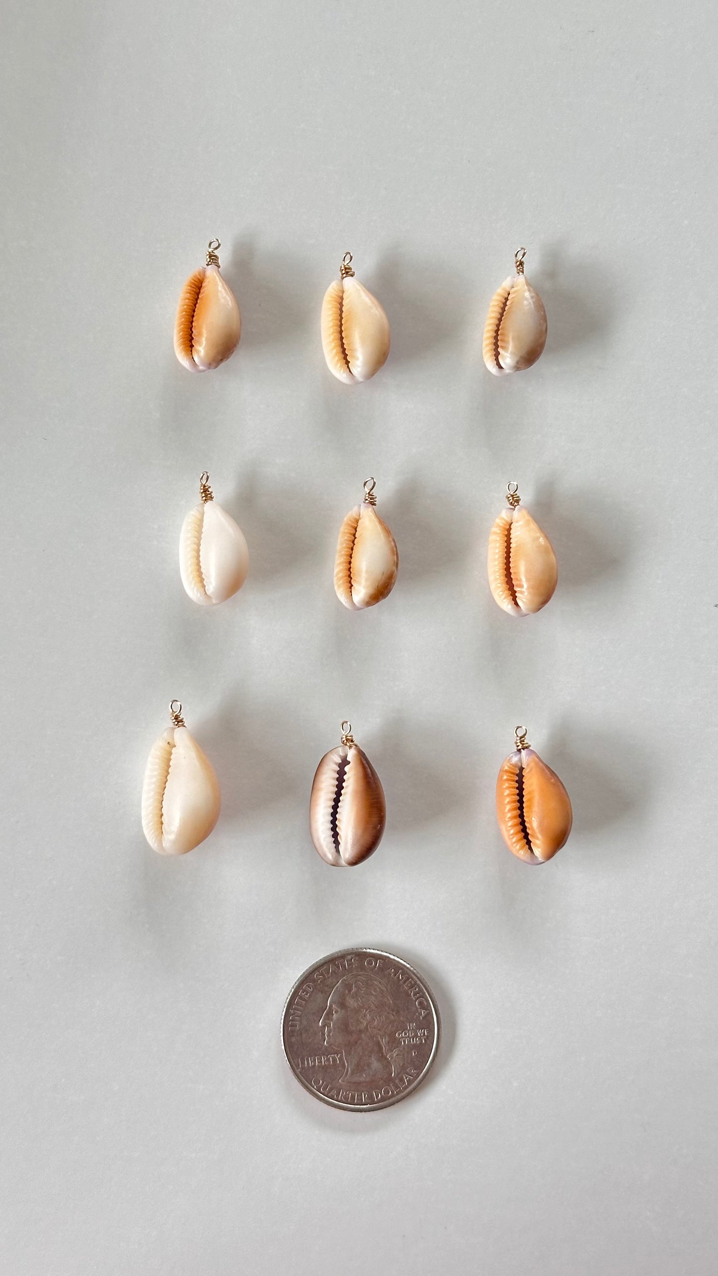 Charm Bar Cowrie Shells