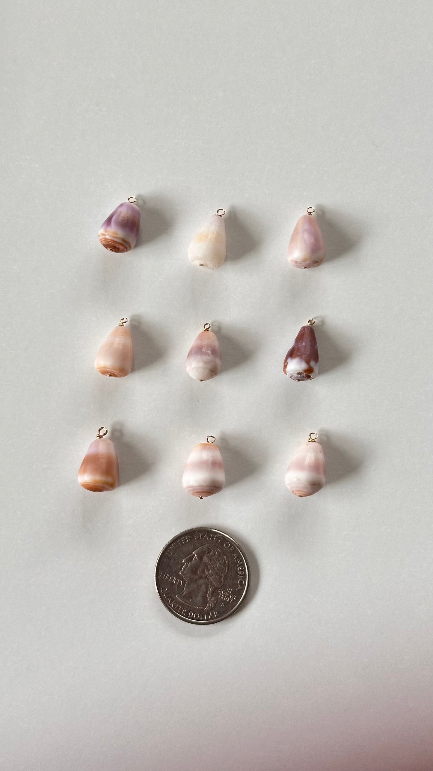 Charm Bar Mini Cone Shells