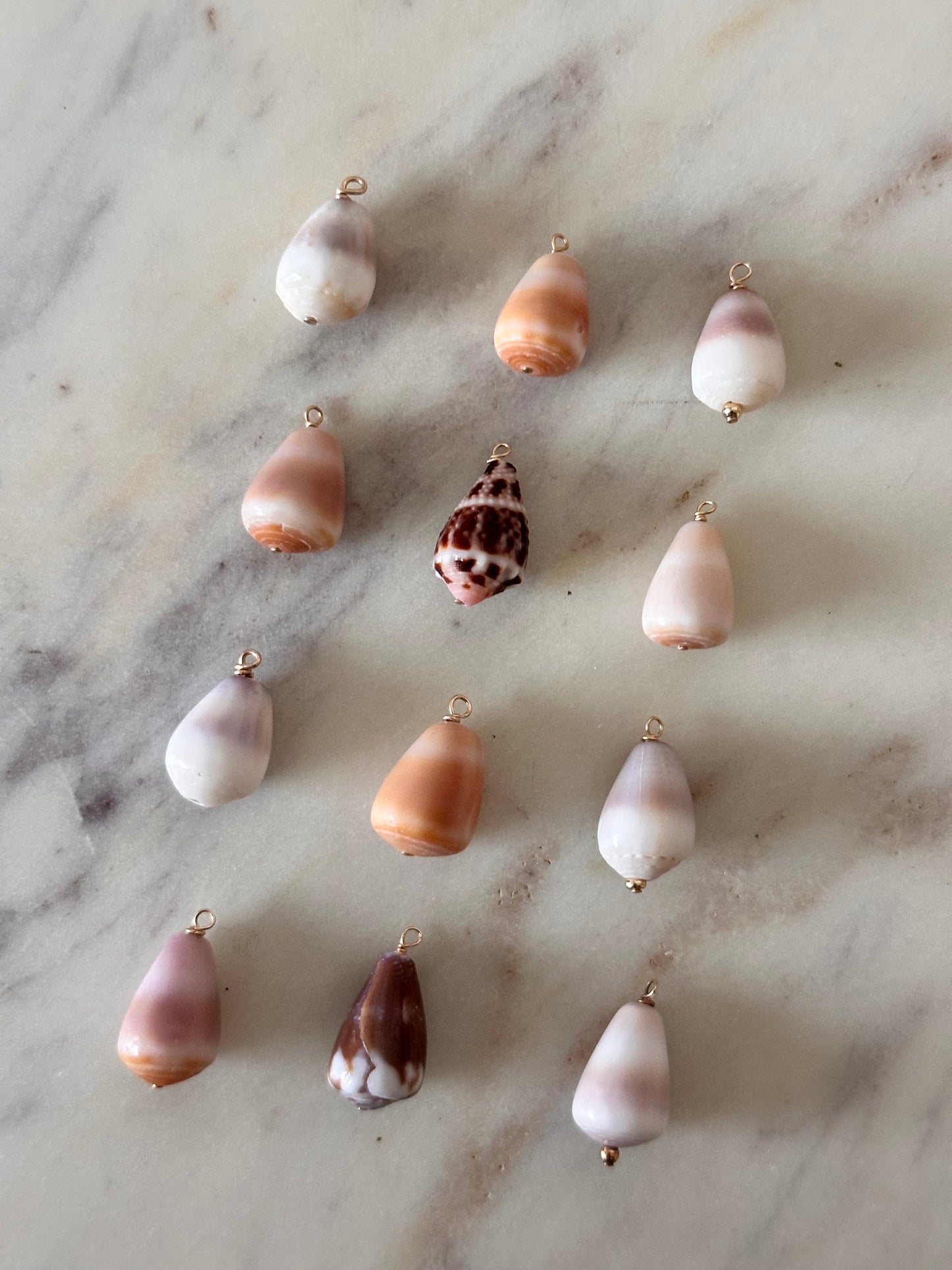 Charm Bar Mini Cone Shells
