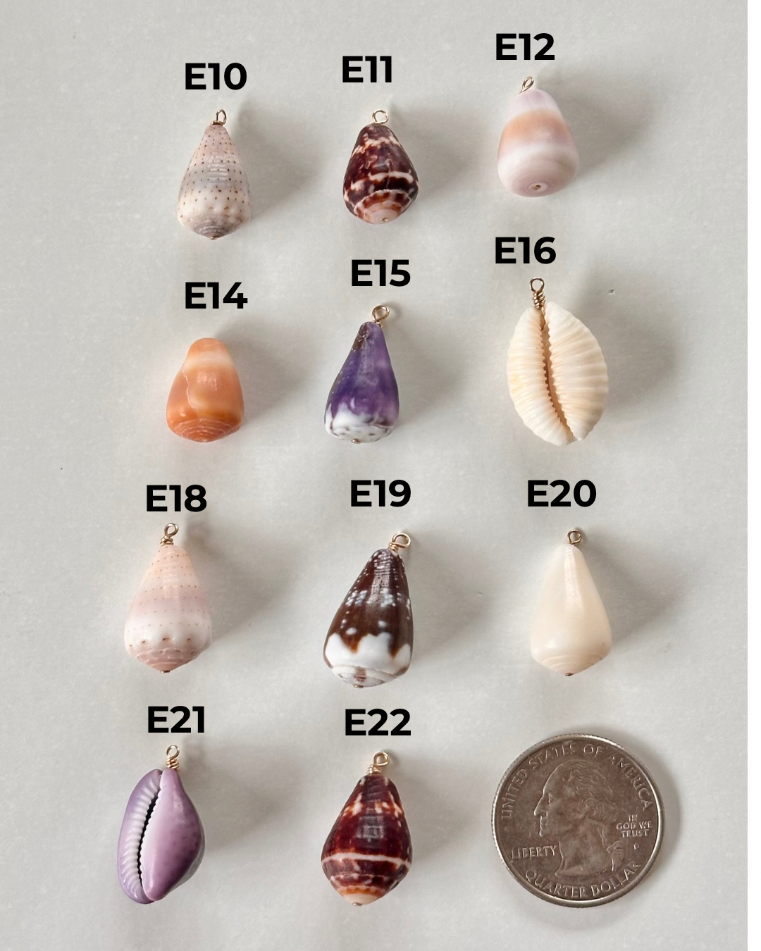 Charm Bar Shells