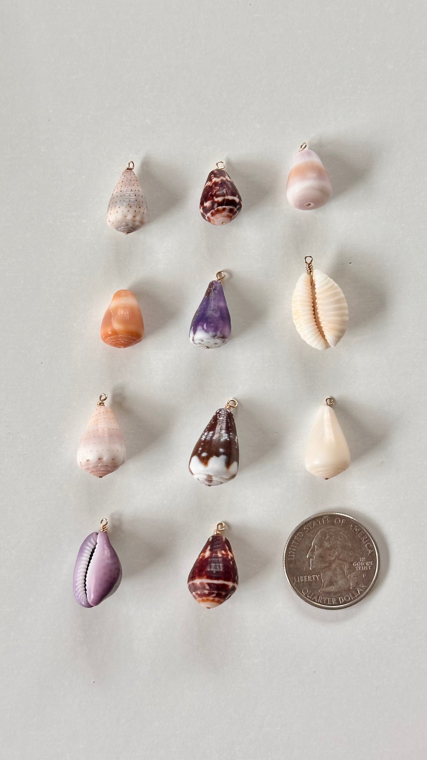 Charm Bar Shells