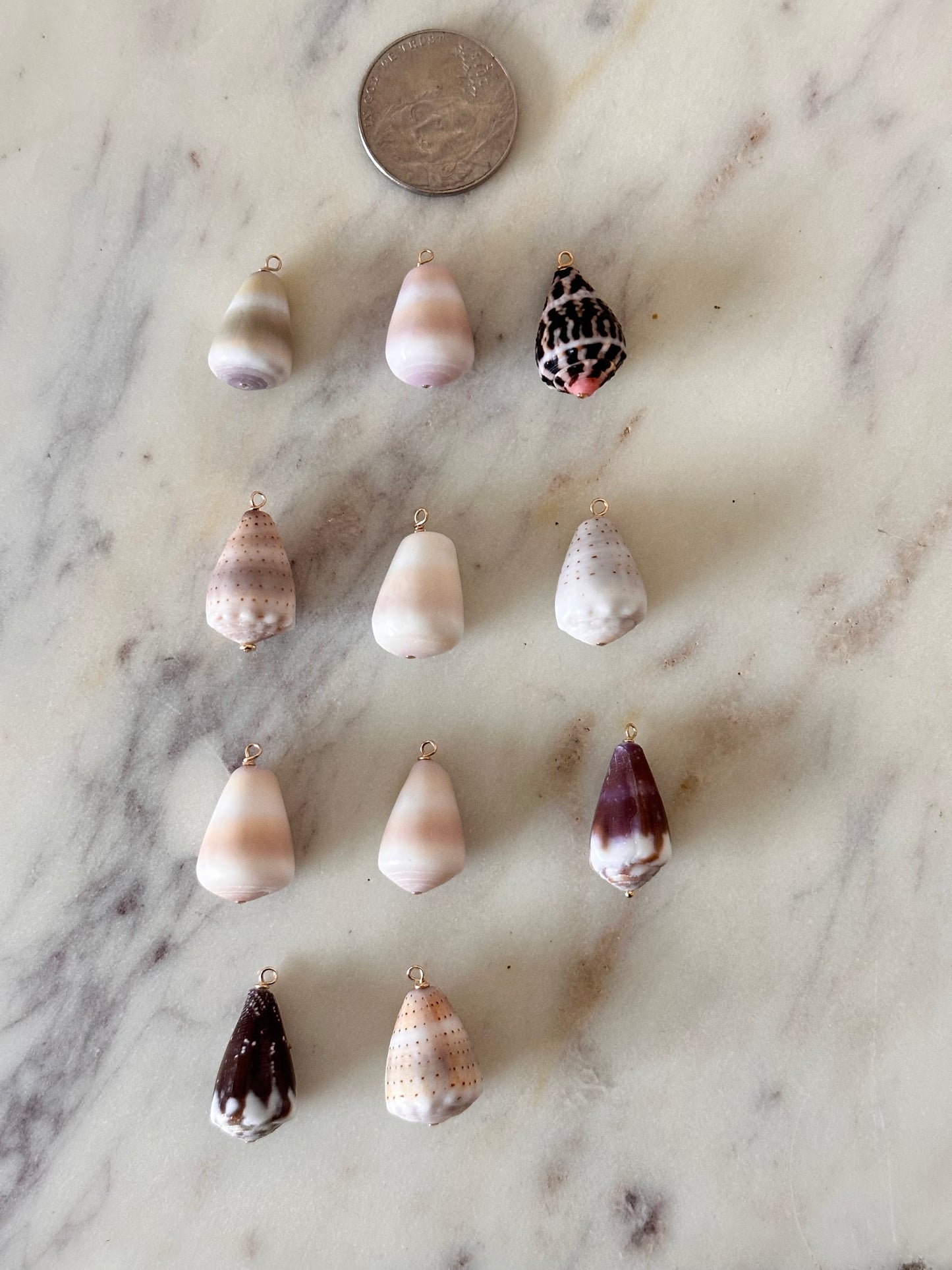 Charm Bar Shells