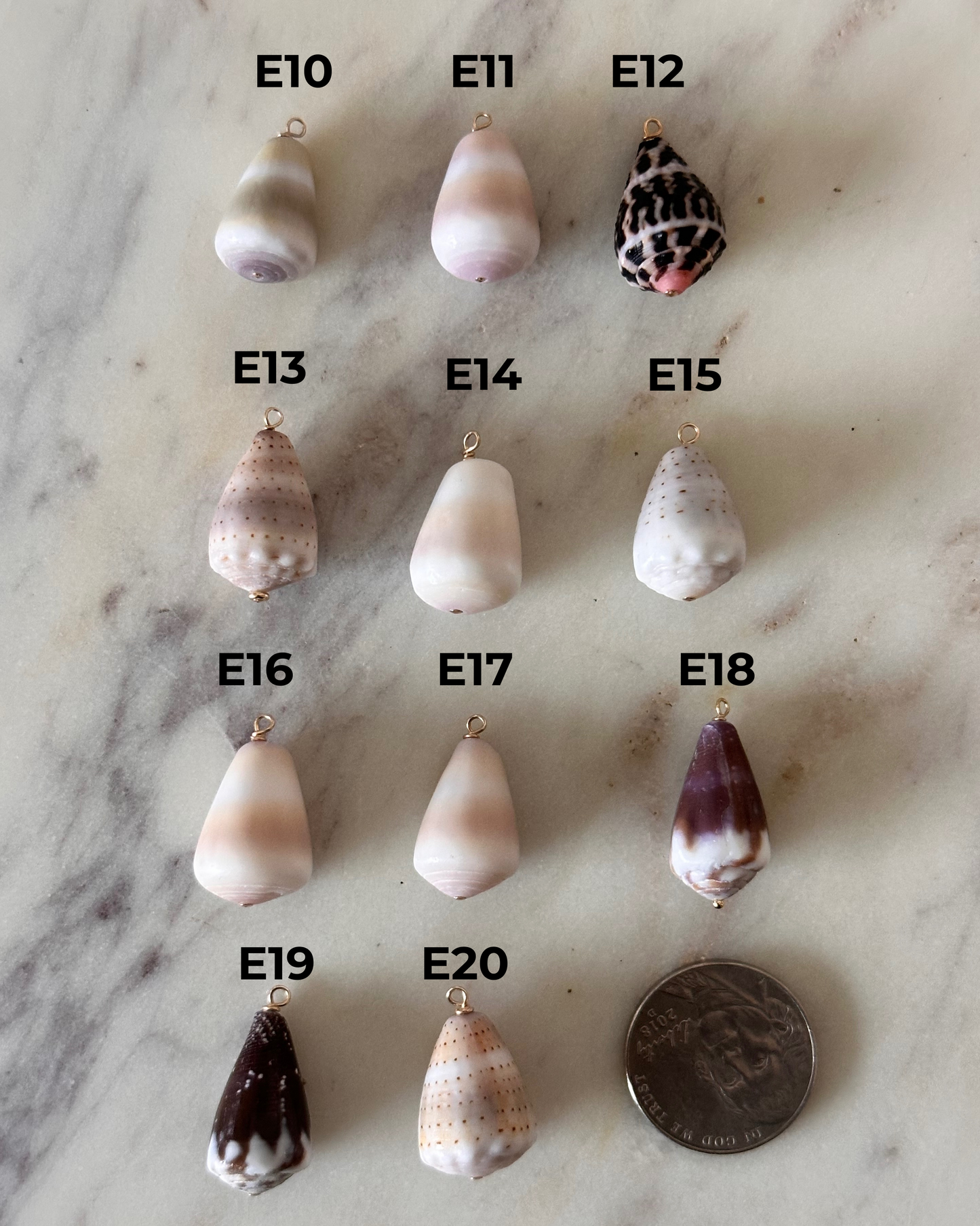 Charm Bar Shells
