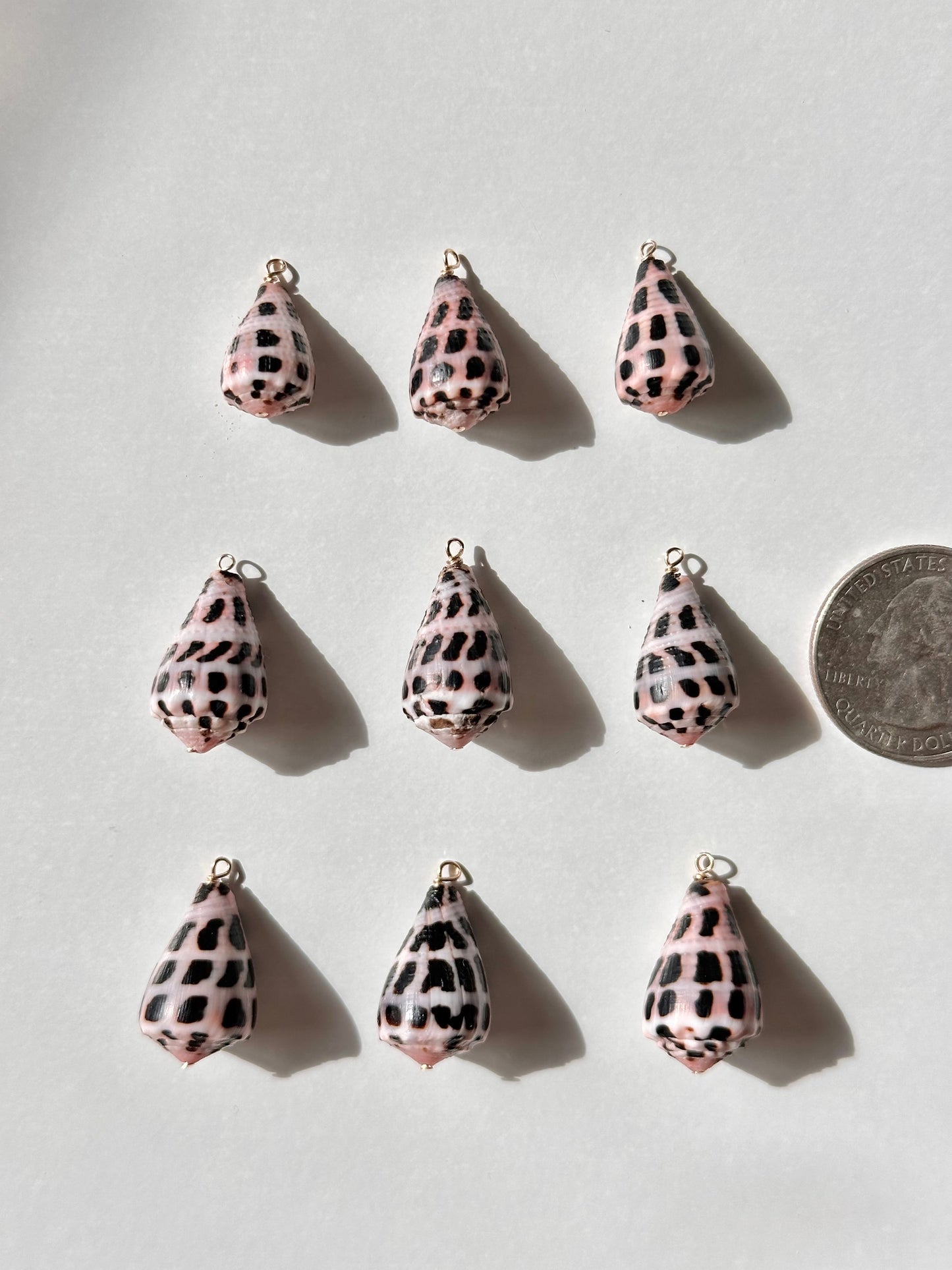 Charm Bar Hebrew Shells