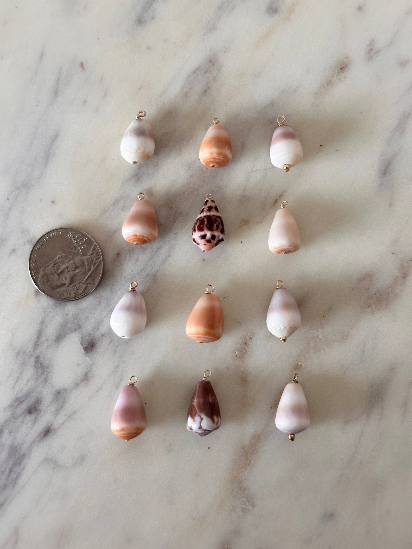 Charm Bar Mini Cone Shells