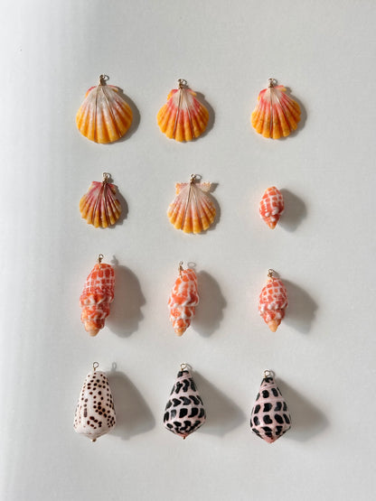 Charm Bar Sunrise, Miter, Hebrew + Flea Shells