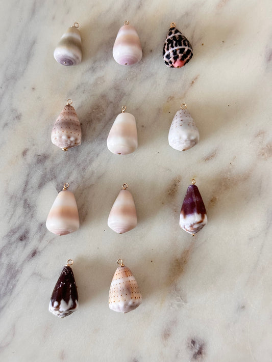 Charm Bar Shells