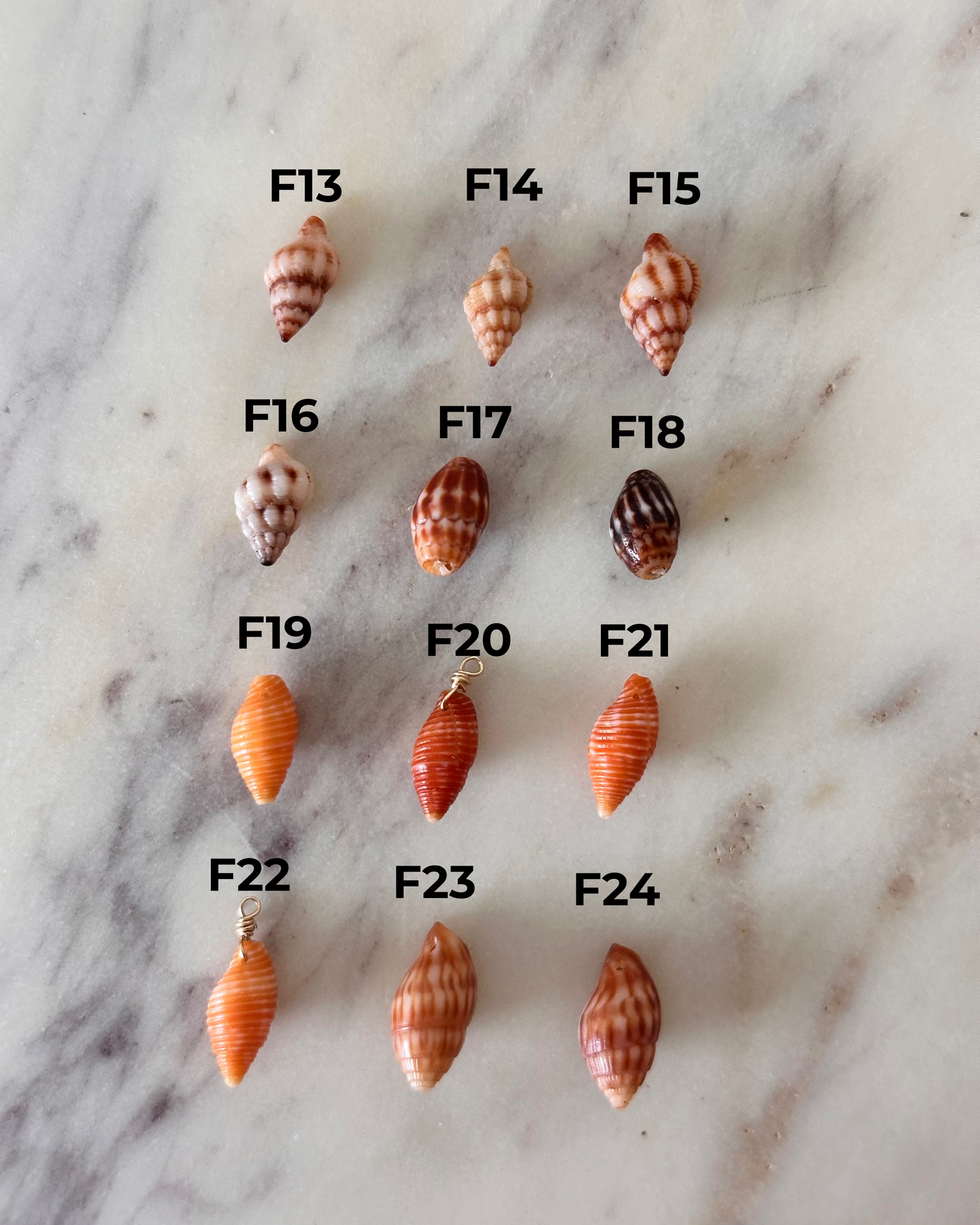 Charm Bar Hawaiian Shells