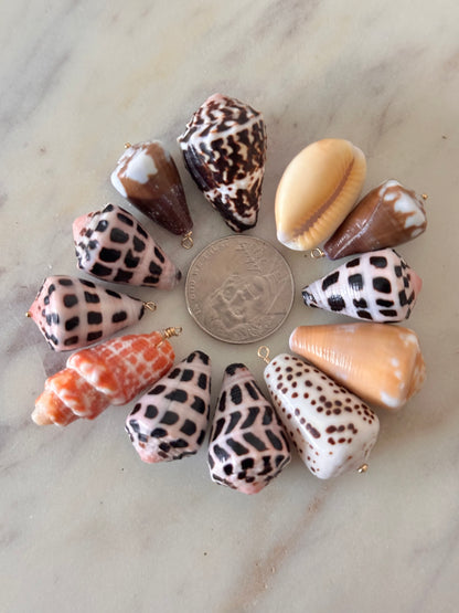 Charm Bar LARGE Shells