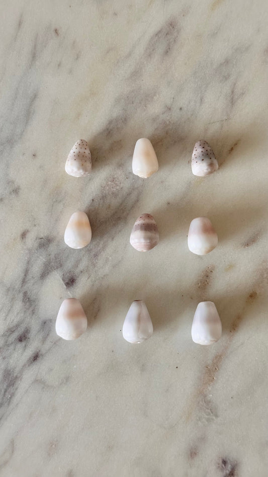 Charm Bar Mini Cone Shells