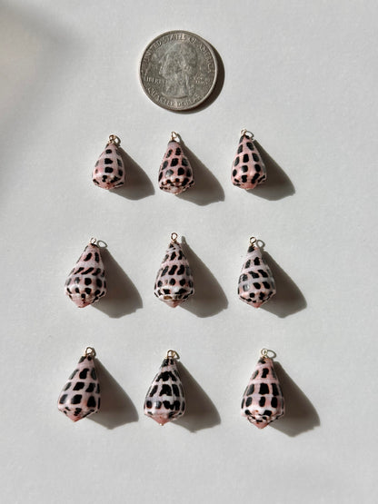Charm Bar Hebrew Shells