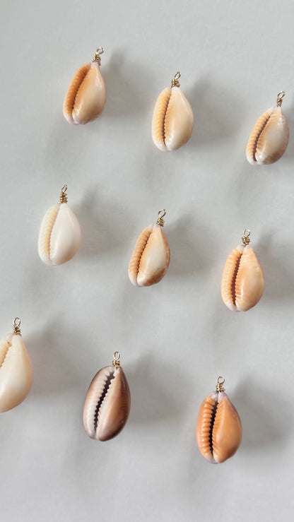 Charm Bar Cowrie Shells