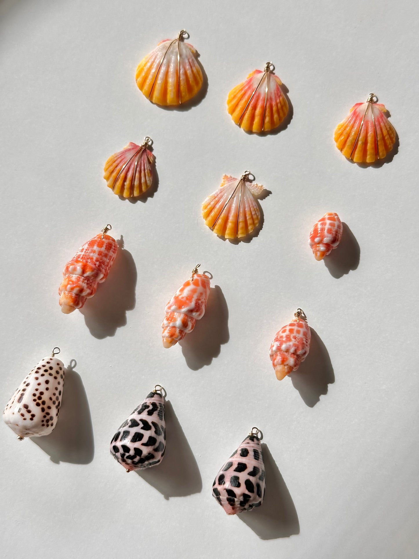 Charm Bar Sunrise, Miter, Hebrew + Flea Shells