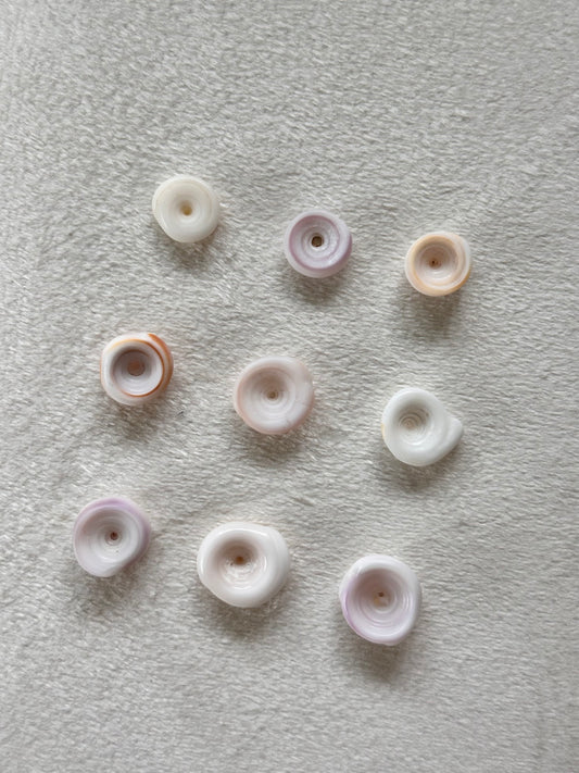 Charm Bar Puka Shells