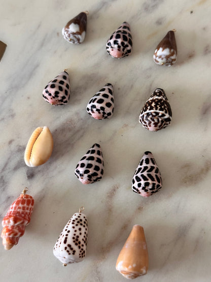 Charm Bar LARGE Shells