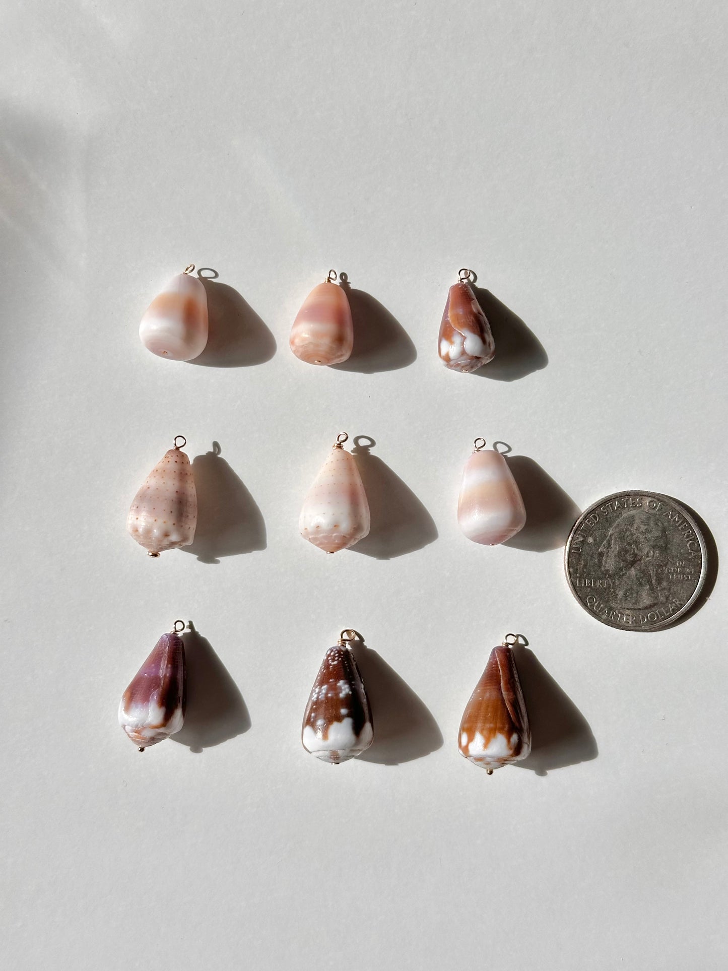 Charm Bar Shells