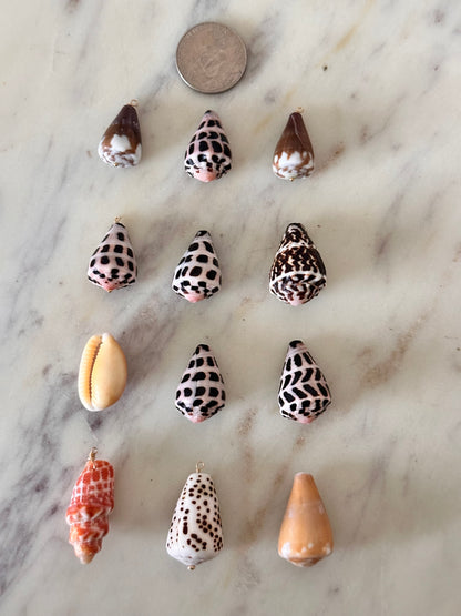 Charm Bar LARGE Shells