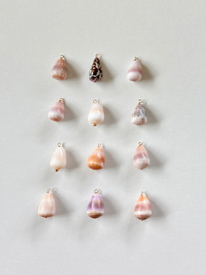 Charm Bar Mini Cone Shells