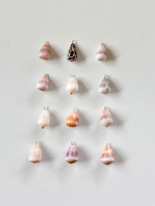 Charm Bar Mini Cone Shells