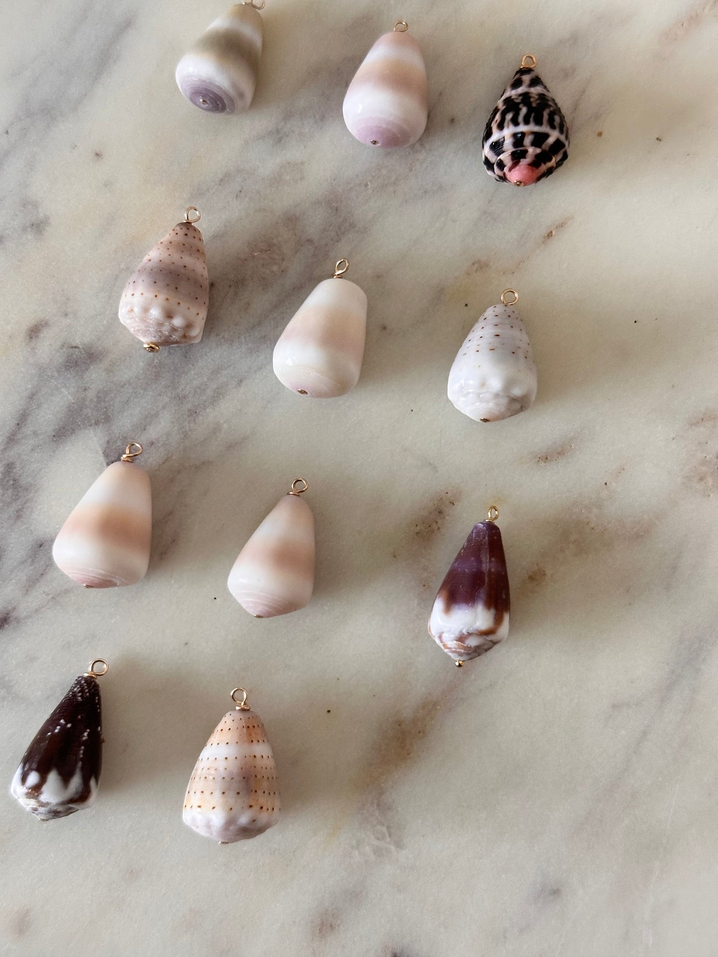 Charm Bar Shells