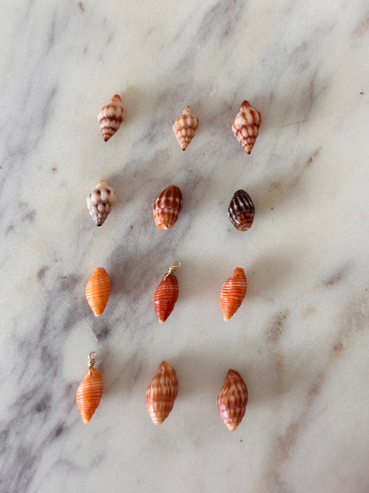 Charm Bar Hawaiian Shells