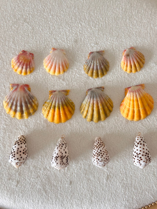 Charm Bar Sunrise + Flea Shells