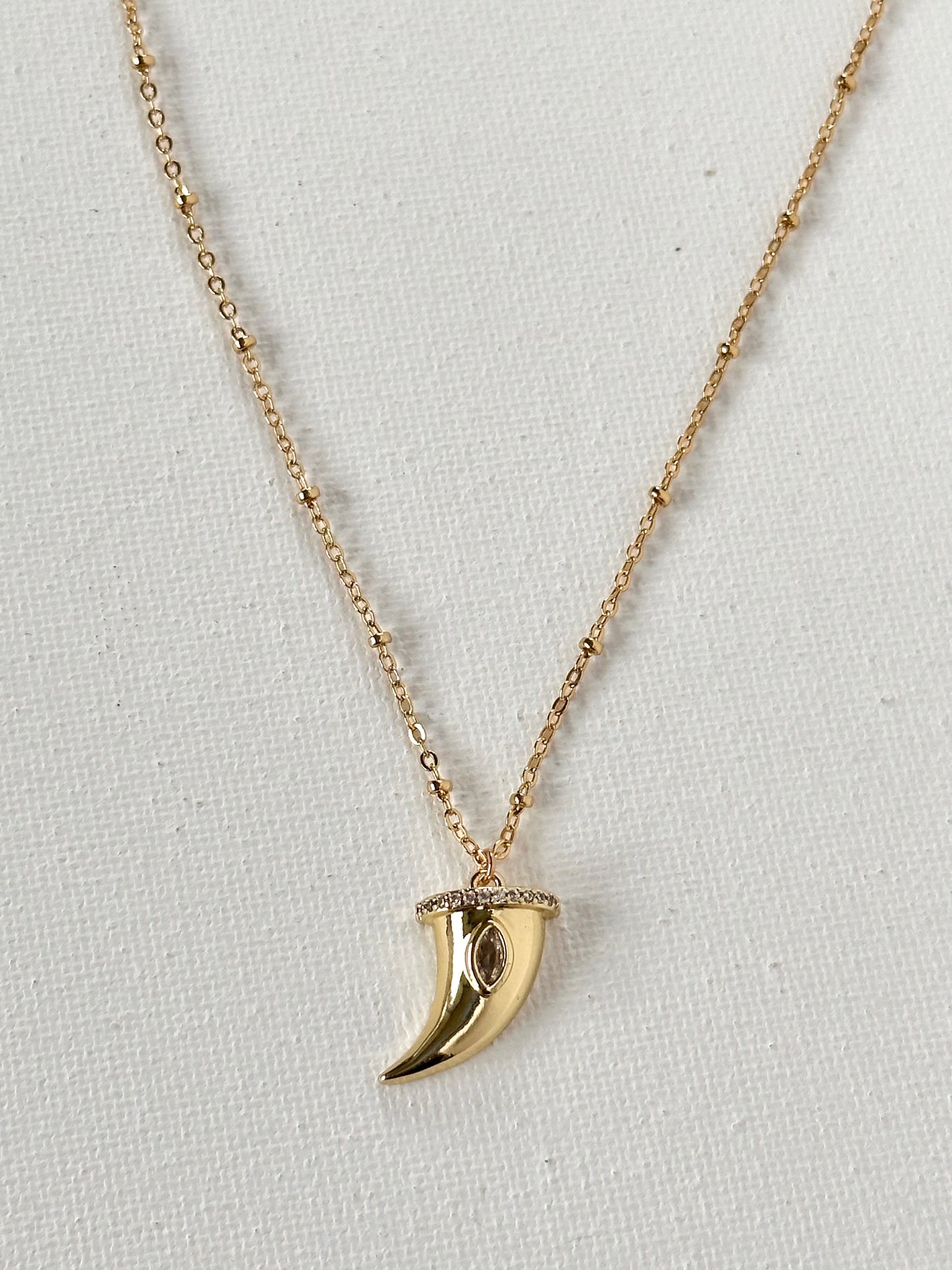 Shark tooth Necklace