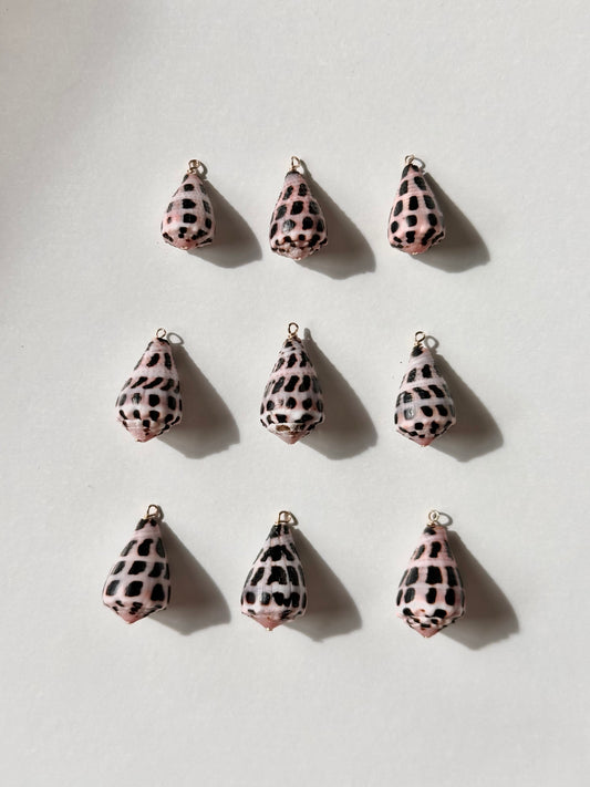 Charm Bar Hebrew Shells