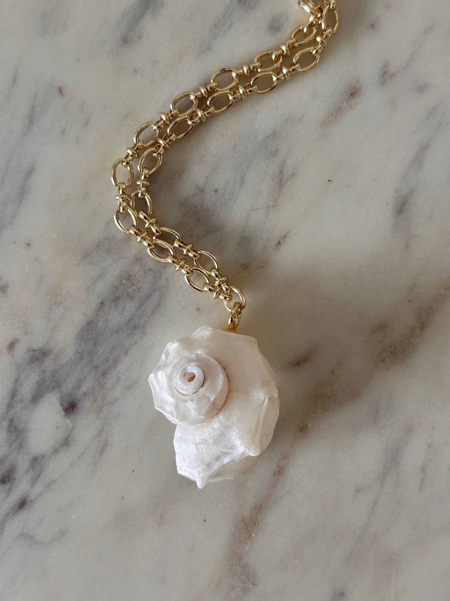 Nautilus Shell Necklace