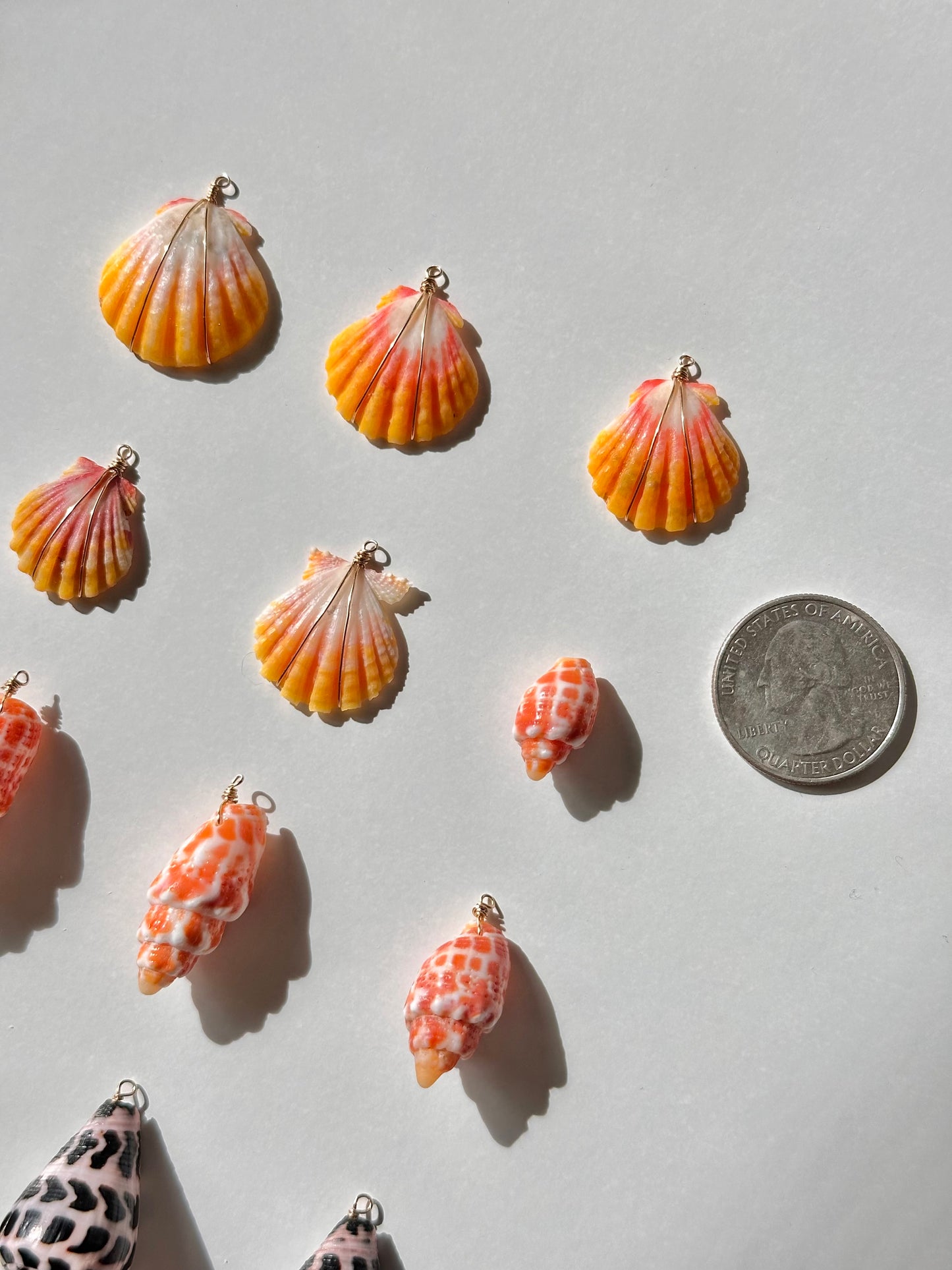 Charm Bar Sunrise, Miter, Hebrew + Flea Shells