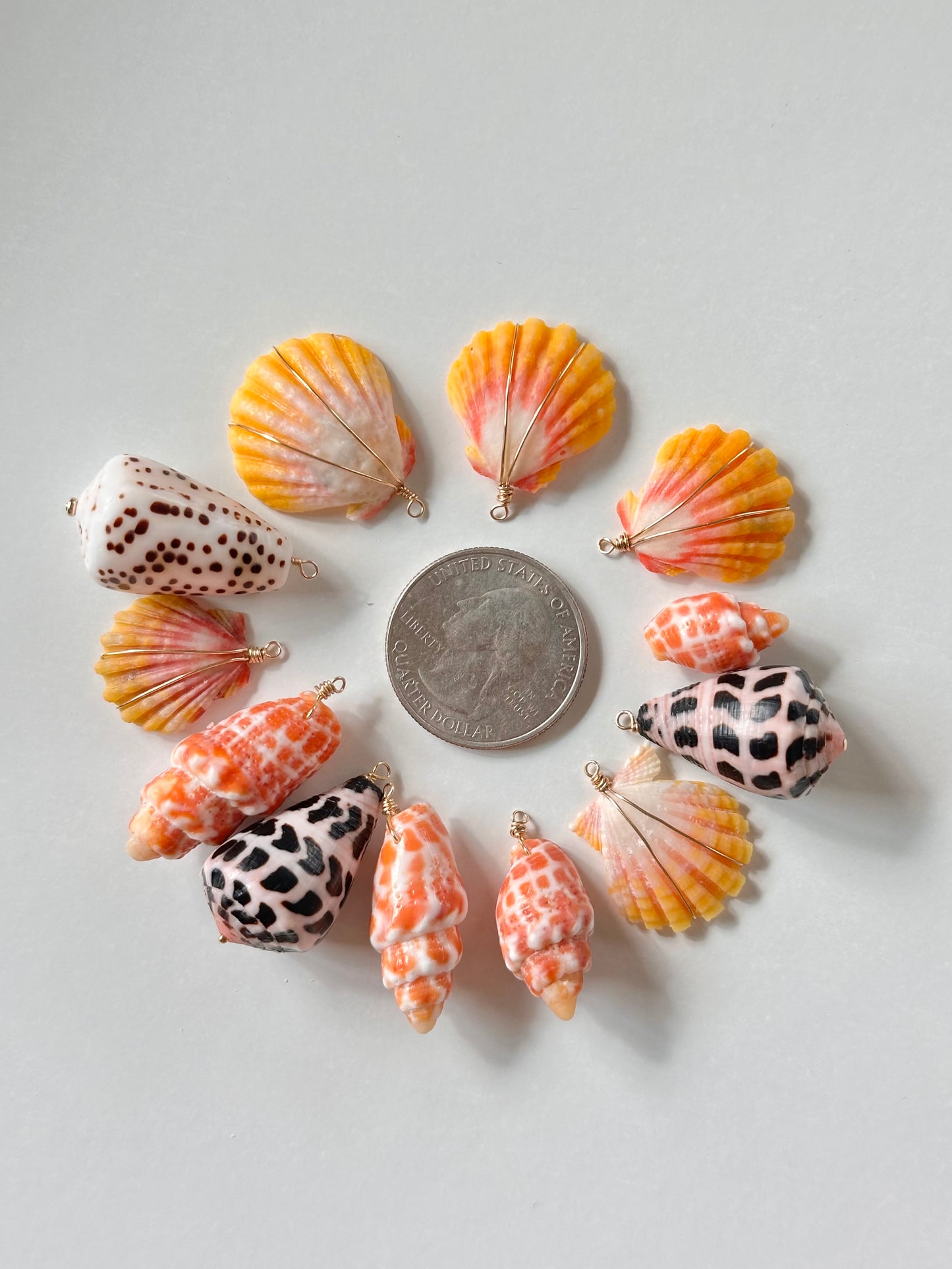 Charm Bar Sunrise, Miter, Hebrew + Flea Shells